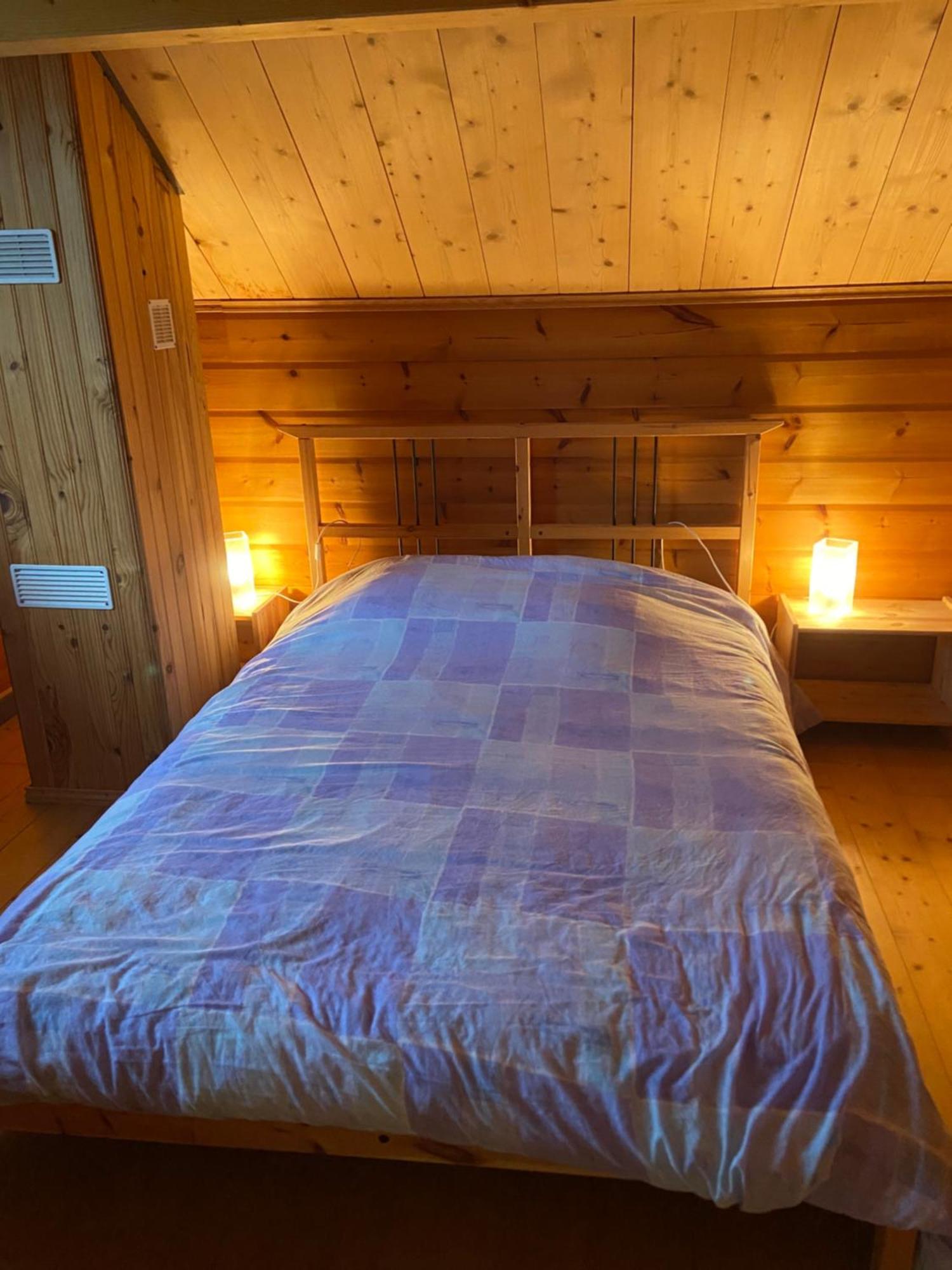 Chalet Aster 3 Etoiles Arrentès-de-Corcieux Eksteriør billede